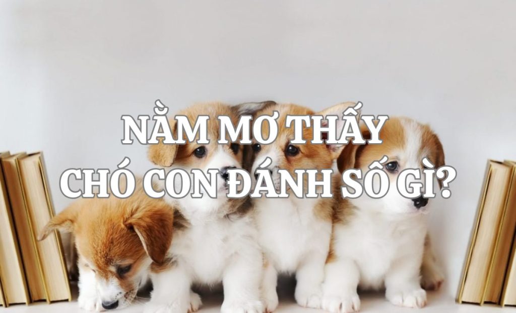 Nằm mơ thấy chó con báo hiệu điều gì sắp đến? Giải mã chi tiết