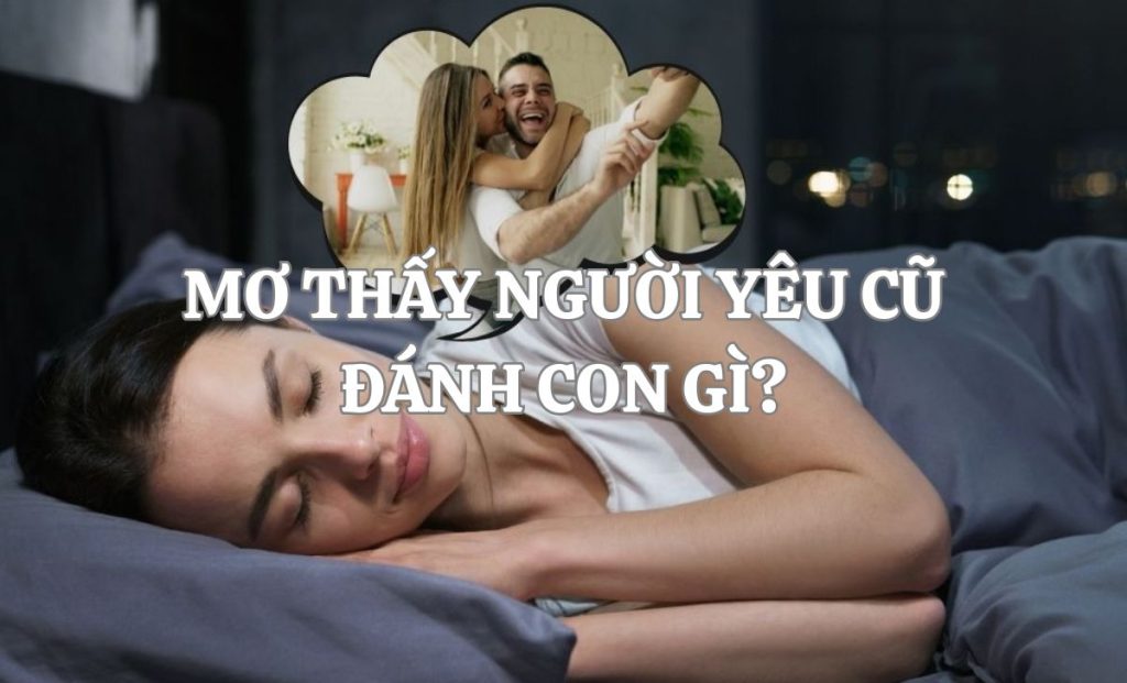 Nằm mơ thấy người yêu cũ đánh con gì? Tham khảo bộ số may mắn